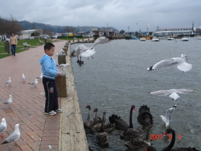 DSC00945.JPG