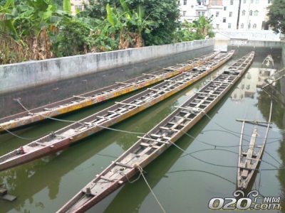 �ĳ���������������